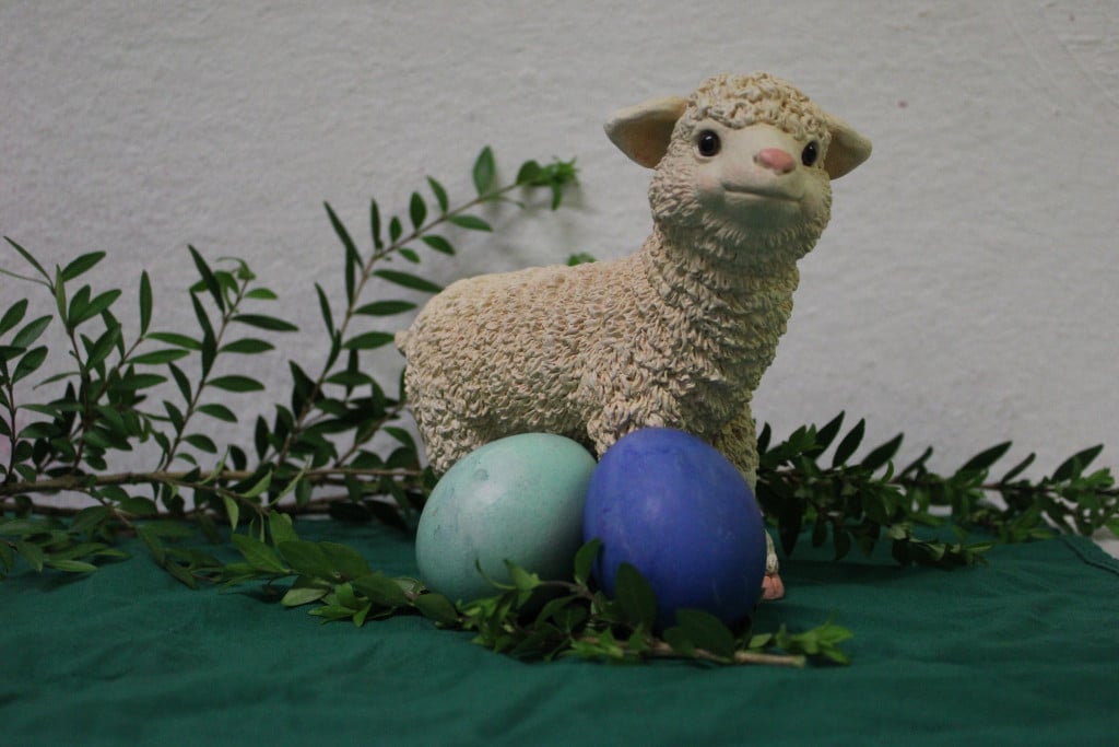 Liebe Familien unserer KiTa,

wir wünschen Ihnen allen frohe und gesegnete Ostern und hoffen, Sie können die Feiertage gemeinsam genießen.

Wir freuen uns, Sie ab nächsten Dienstag, den 02. April 2024 wieder zu begrüßen.

Ihr KiTa-Team