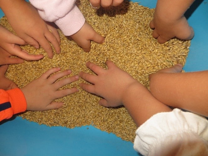 Rund um dieses Thema drehte es sich in den ersten Wochen des neuen Kindergartenjahres in der Marienkäfer- und Elefantengruppe.
Gemeinsam erlebten die Kinder, welchen Weg das Korn vom Acker bis auf unseren Frühstückstisch nimmt und wie viel Arbeit, Geduld und Freude in einem einfachen Stück Brot steckt.
(Wenn Sie genaueres wissen wollen, klicken Sie einfach drauf.)