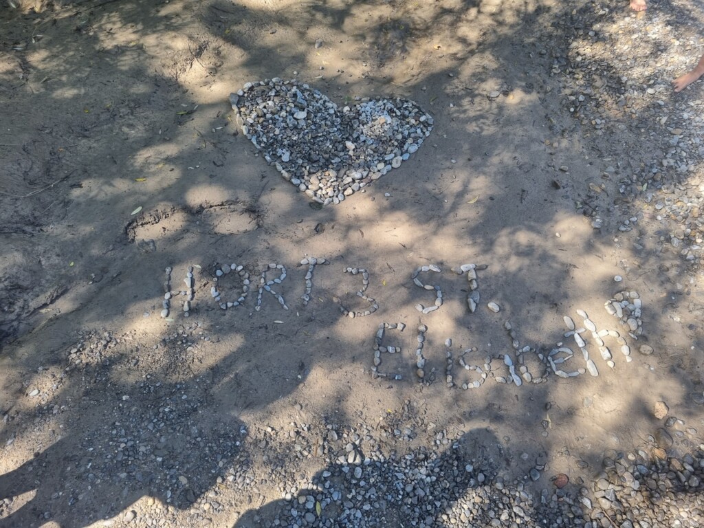 Am 26.08.2026 haben sich die Kinder vom Hort 2, Hort 3 und die Kinder der Igelgruppe auf den Weg Richtung Füssen gemacht. In einem großen Reisebus sind wir zum Walderlebnispark nach Ziegelwies gefahren. Egal ob Riesenrutsche, Wald, Wasser oder Spielstationen, es war für alle was dabei. Nach einem anstrengenden und ereignisreichen Tag haben wir uns gegen Nachmittag wieder auf den Heimweg Richtung KiTa gemacht.